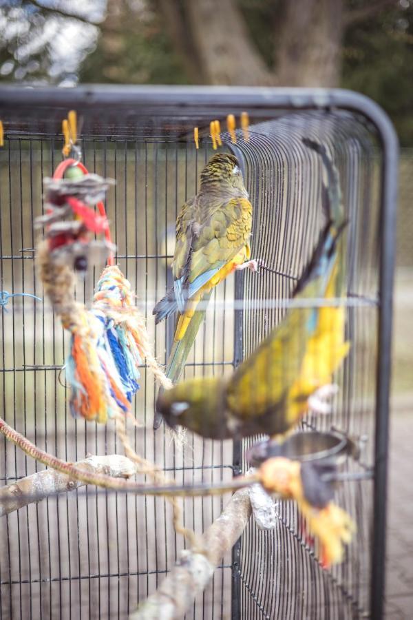 Bed & Breakfast 4.couples&4.friends 2*